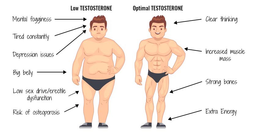 What Every Man Should Know About Muscle Mass: Men's T Clinic®: Testosterone  Replacement